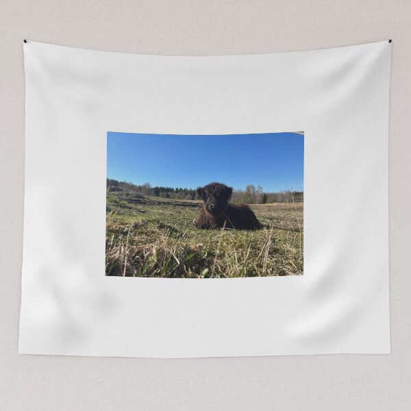 Item preview, Scottish Highland Cattle Calf 4420 designed and sold by SaarelaHighland.