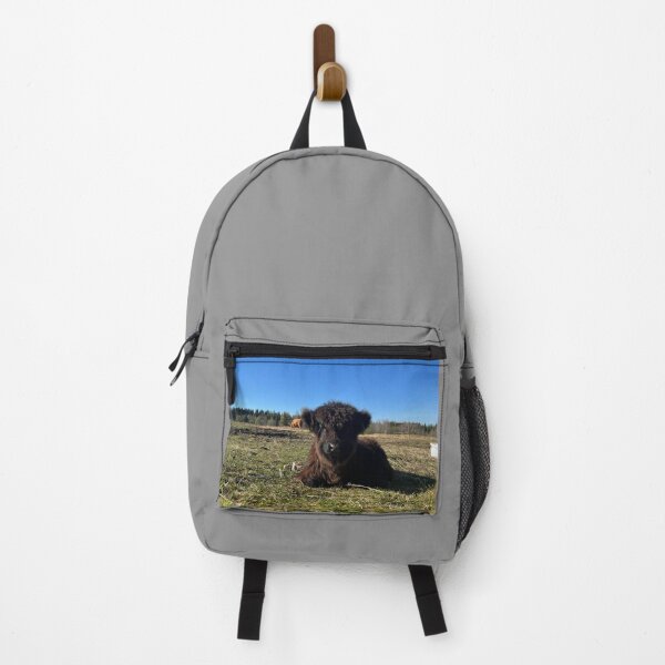 Item preview, Scottish Highland Cattle Calf 4421 designed and sold by SaarelaHighland.