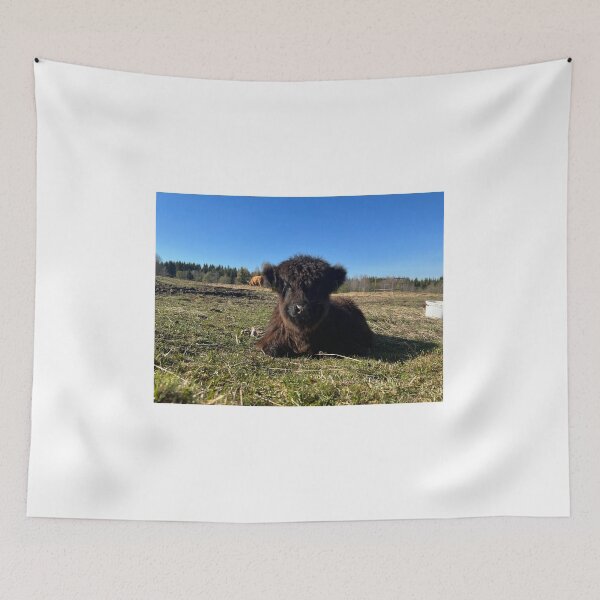 Item preview, Scottish Highland Cattle Calf 4421 designed and sold by SaarelaHighland.