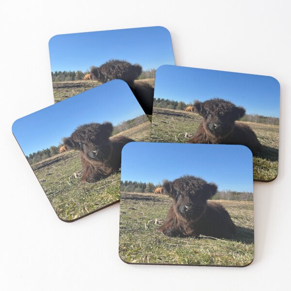 Item preview, Scottish Highland Cattle Calf 4421 designed and sold by SaarelaHighland.