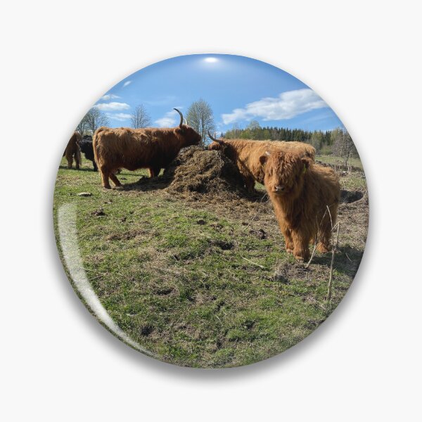 Item preview, Scottish Highland Cattle Cows 4422 designed and sold by SaarelaHighland.
