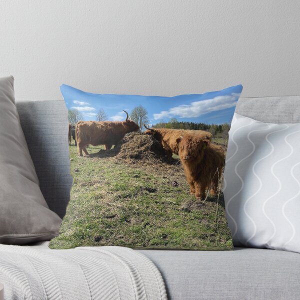 Item preview, Scottish Highland Cattle Cows 4422 designed and sold by SaarelaHighland.