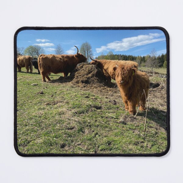 Item preview, Scottish Highland Cattle Cows 4422 designed and sold by SaarelaHighland.