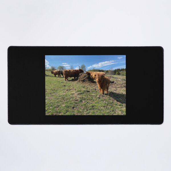 Item preview, Scottish Highland Cattle Cows 4422 designed and sold by SaarelaHighland.