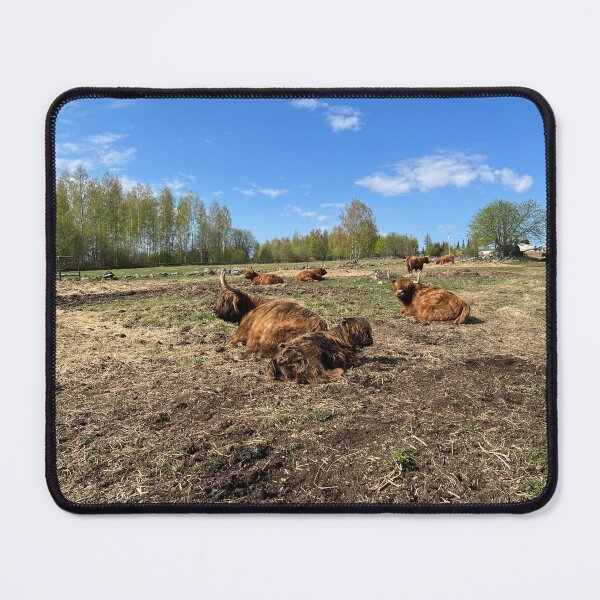 Item preview, Scottish Highland Cattle Cows 4423 designed and sold by SaarelaHighland.
