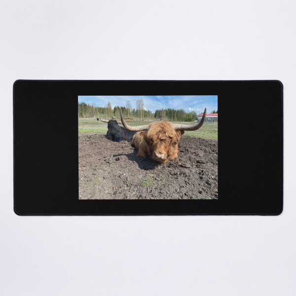 Item preview, Scottish Highland Cattle Bull 4424 designed and sold by SaarelaHighland.