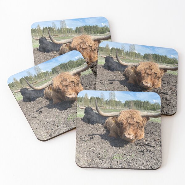 Item preview, Scottish Highland Cattle Bull 4424 designed and sold by SaarelaHighland.