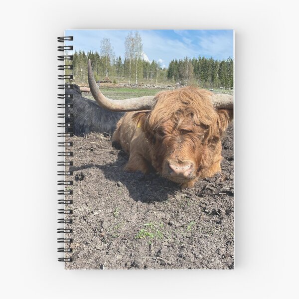 Item preview, Scottish Highland Cattle Bull 4424 designed and sold by SaarelaHighland.