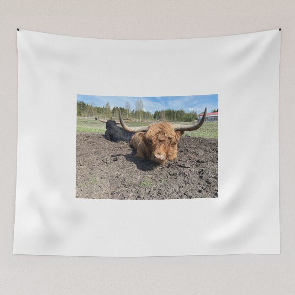 Item preview, Scottish Highland Cattle Bull 4424 designed and sold by SaarelaHighland.