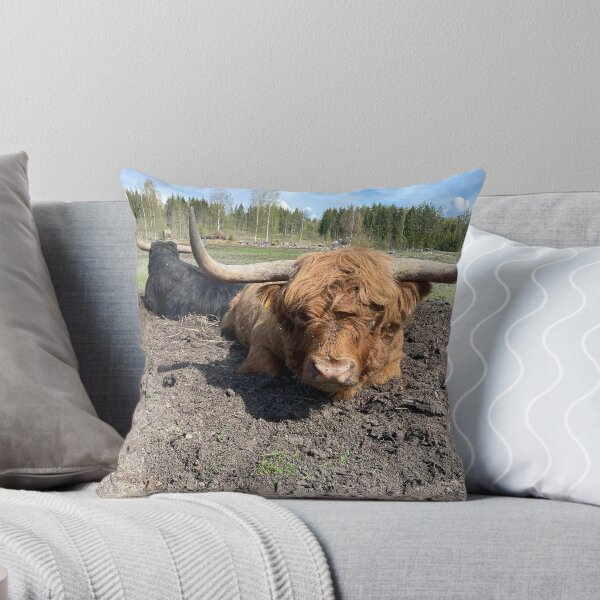 Item preview, Scottish Highland Cattle Bull 4424 designed and sold by SaarelaHighland.