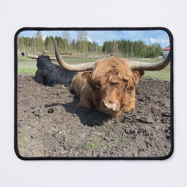 Item preview, Scottish Highland Cattle Bull 4424 designed and sold by SaarelaHighland.