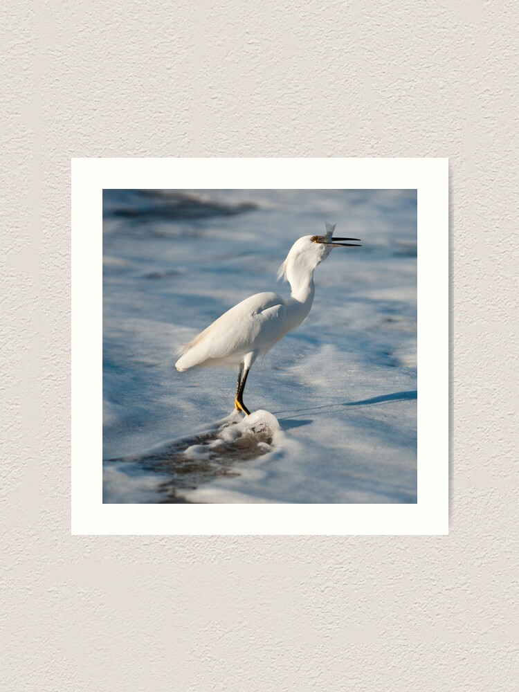 Alternate view of Sea Food Art Print
