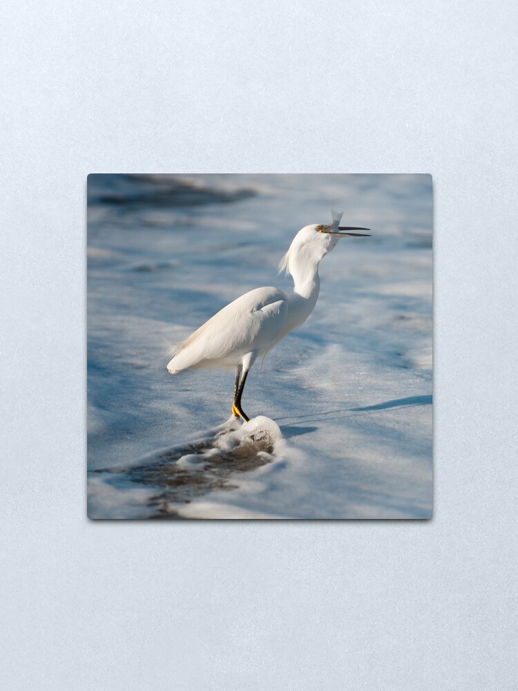 Alternate view of Sea Food Metal Print