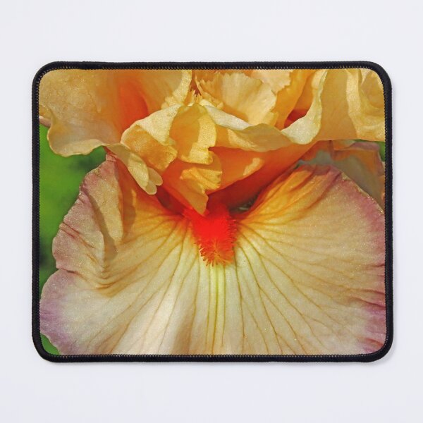 Item preview, Poesie Iris designed and sold by Deb Oppermann.