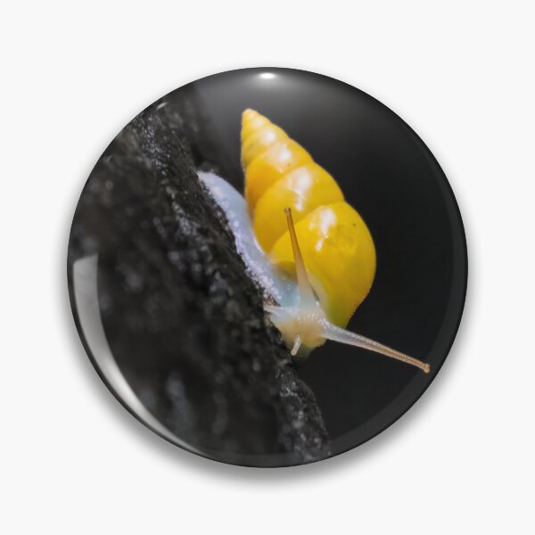 Item preview, Golden Snail on Tree Trunk designed and sold by SafariByMarisa.
