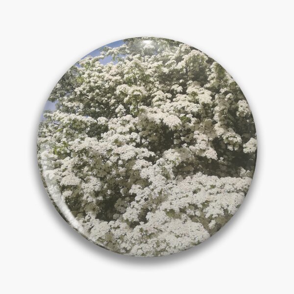 Item preview, White hawthorn blossom bush photograph  designed and sold by esvb.