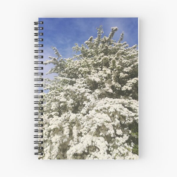 Item preview, White hawthorn blossom bush photograph  designed and sold by esvb.
