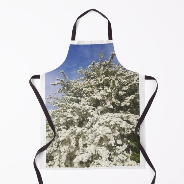 Item preview, White hawthorn blossom bush photograph designed and sold by esvb.