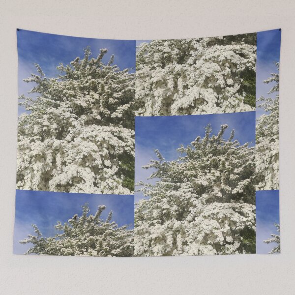 Item preview, White hawthorn blossom bush photograph  designed and sold by esvb.