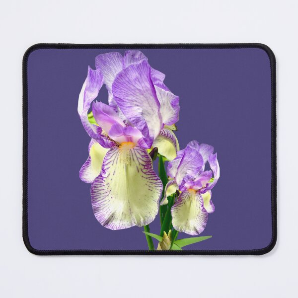 Item preview, Purple iris designed and sold by Susan Gallup.