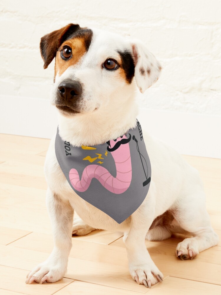 Mustache dog clearance collar