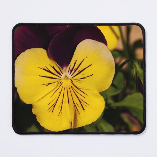 Item preview, Spring Pansy designed and sold by Deb Oppermann.