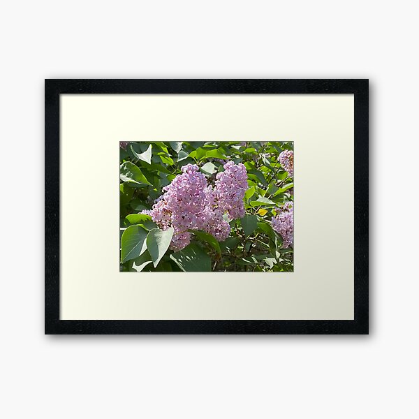 Item preview, Spring Lilac designed and sold by Image-Prints.
