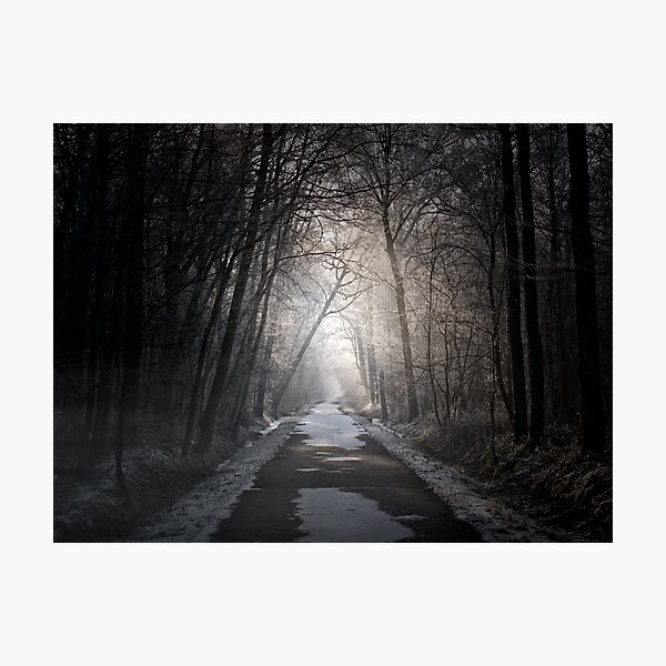 Follow the light, don't fear Photographic Print