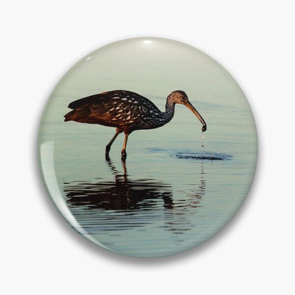 Item preview, Limpkin with a Mollusk designed and sold by irishmurr.
