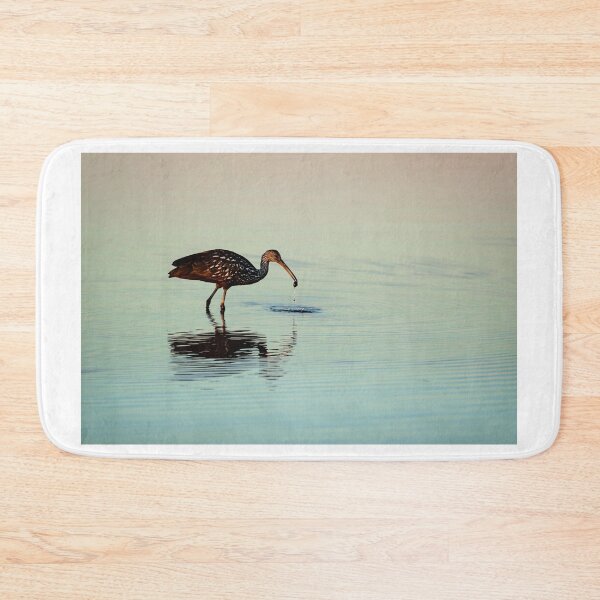 Aperçu de l'œuvre Limpkin avec un mollusque créée et vendue par irishmurr.