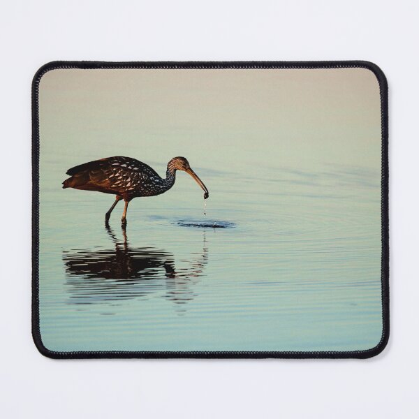 Item preview, Limpkin with a Mollusk designed and sold by irishmurr.
