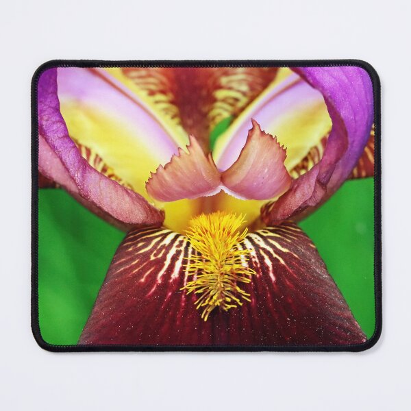 Item preview, Multi Colored Perfection designed and sold by Deb Oppermann.