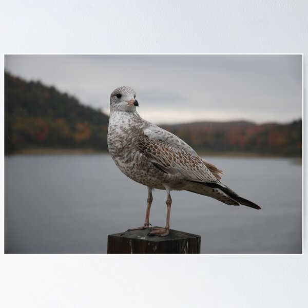 Item preview, It Is MY POST !~~~~~ designed and sold by Lynda   McDonald.