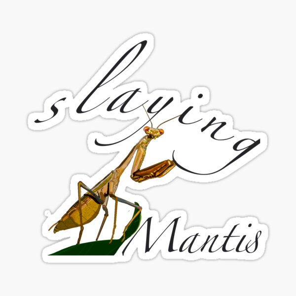 Item preview, Slaying Mantis Graphic  designed and sold by CATC0MMANDER.