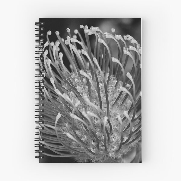 Item preview, Protea en B & W designed and sold by AnnDixon.