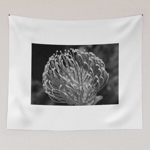Item preview, Protea en B & W designed and sold by AnnDixon.