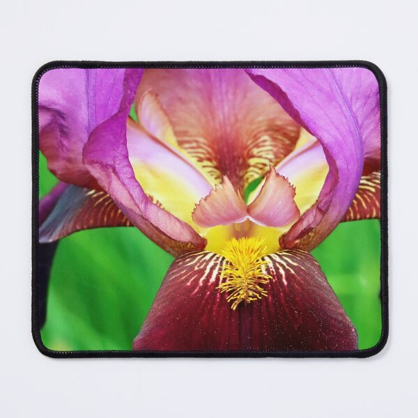 Item preview, Multi Colored Perfection I designed and sold by Deb Oppermann.