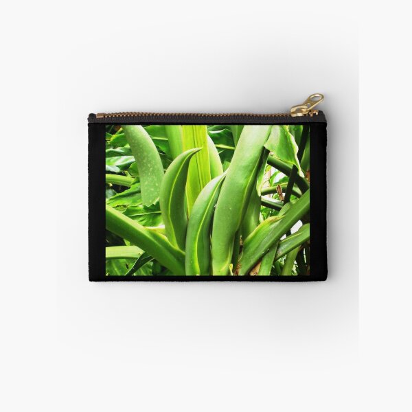 Item preview, Cluster of new stems- Philodendron designed and sold by EdsMum.