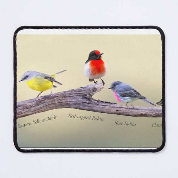 Item preview, Australian Robins Collage designed and sold by Seesee.