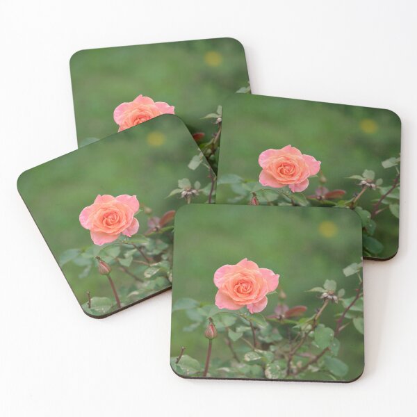 Item preview, The Best Rose in Your Garden designed and sold by Votawgrapher.