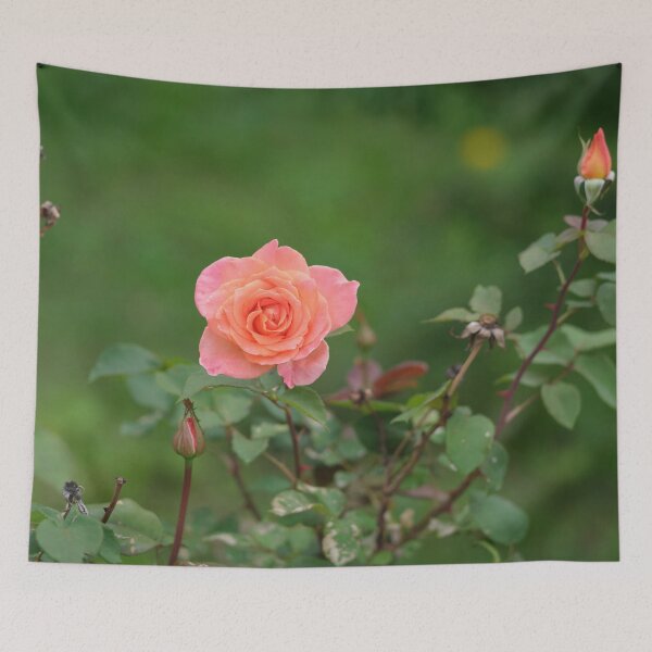 Item preview, The Best Rose in Your Garden designed and sold by Votawgrapher.