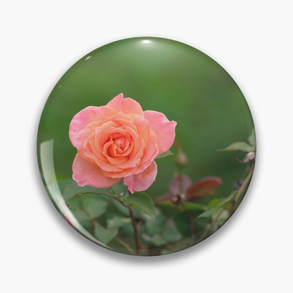 Item preview, The Best Rose in Your Garden designed and sold by Votawgrapher.
