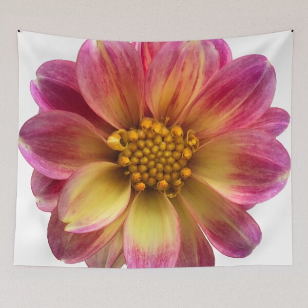 Item preview, Pink and yellow daliah designed and sold by Phoebew03.
