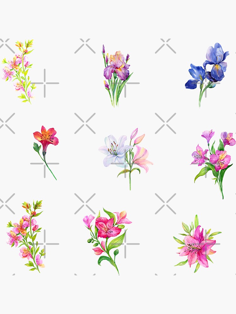 Watercolor Summer Flower Mix | Sticker