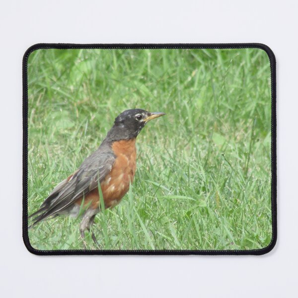 Item preview, Robin Contemplating  designed and sold by HopeHouseArt.