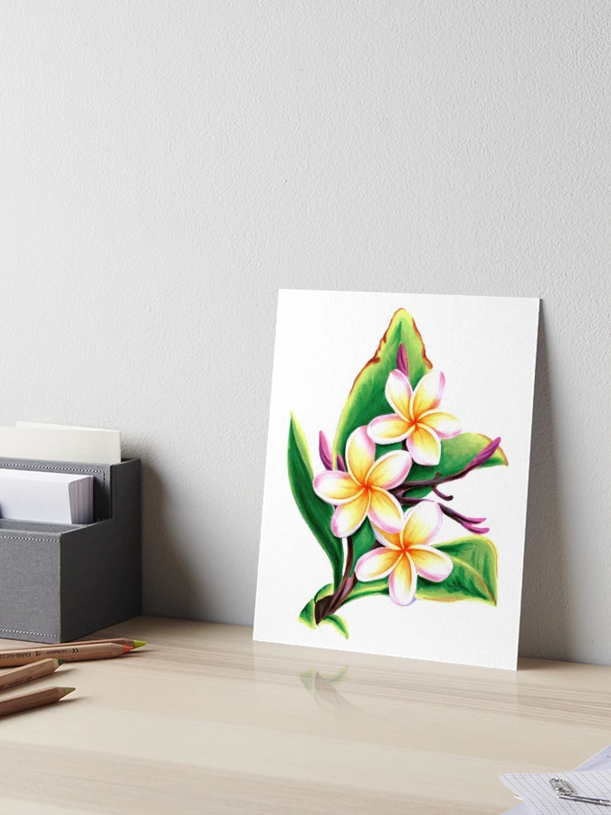 Delicate flowers of the plumeria | Art Board Print