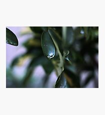 Lluvia Photographic Print