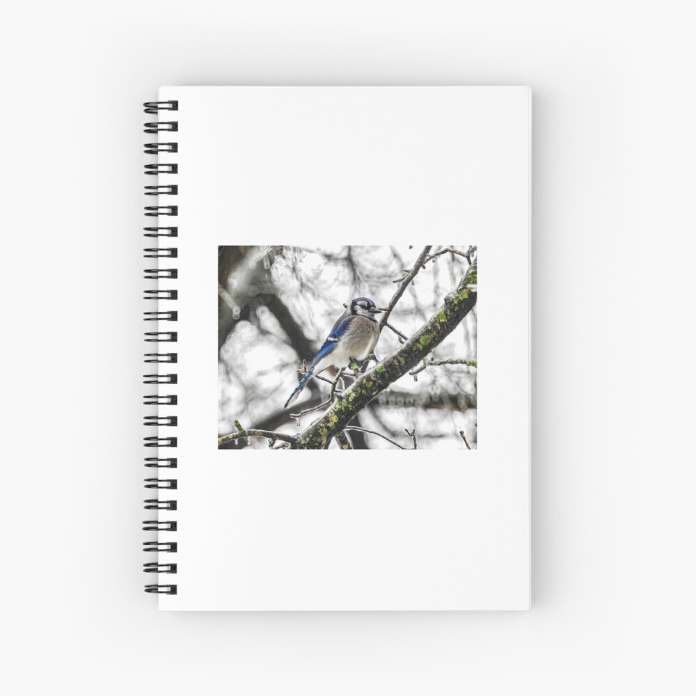 Item preview, Spiral Notebook designed and sold by tkdgirlms.