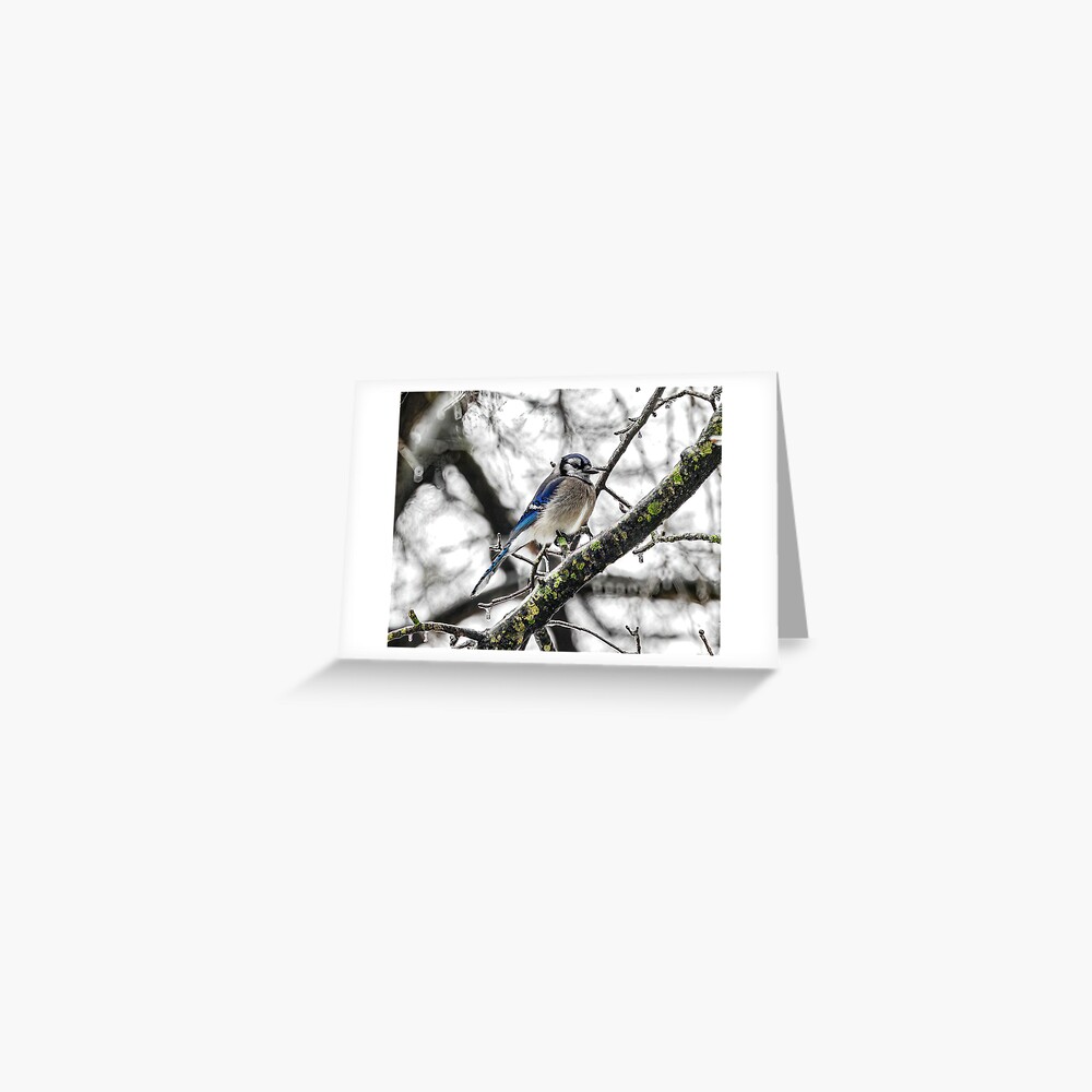 Item preview, Greeting Card designed and sold by tkdgirlms.