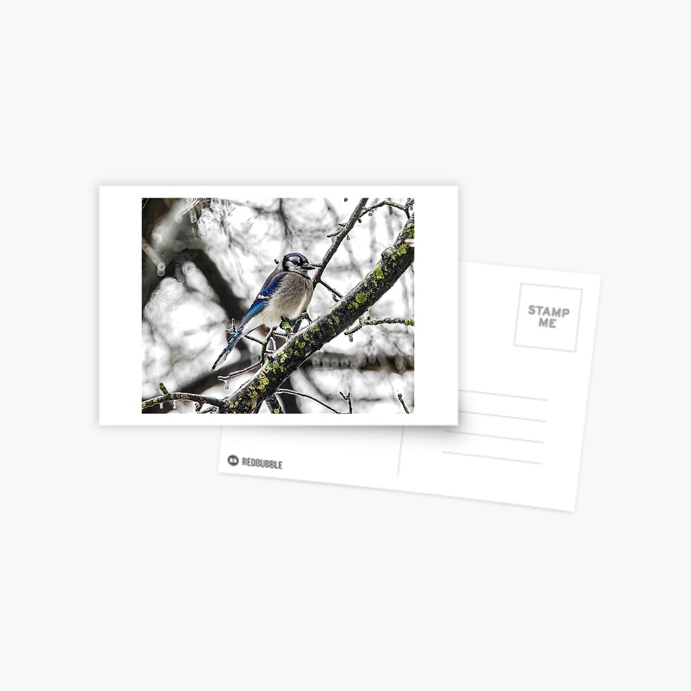 Item preview, Postcard designed and sold by tkdgirlms.